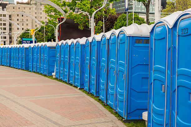 Best Deluxe Portable Toilet Rental  in Hillsdale, MI